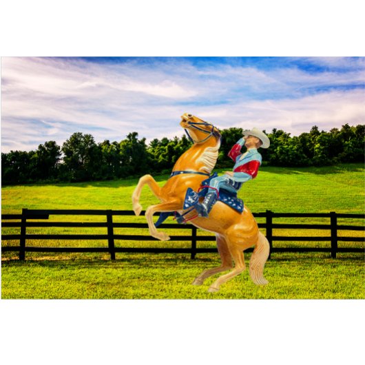 馬とカウボーイ ランバークッション