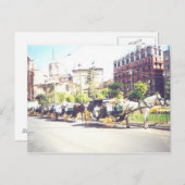 馬とカラージュバレンシアスペイン ポストカード (正面/裏面)