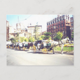 馬とカラージュバレンシアスペイン ポストカード