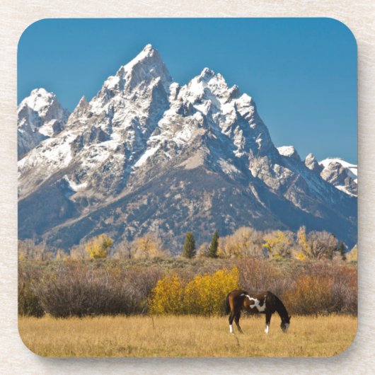 馬とグランドテトンムースヘッドランチ コースター (正面)