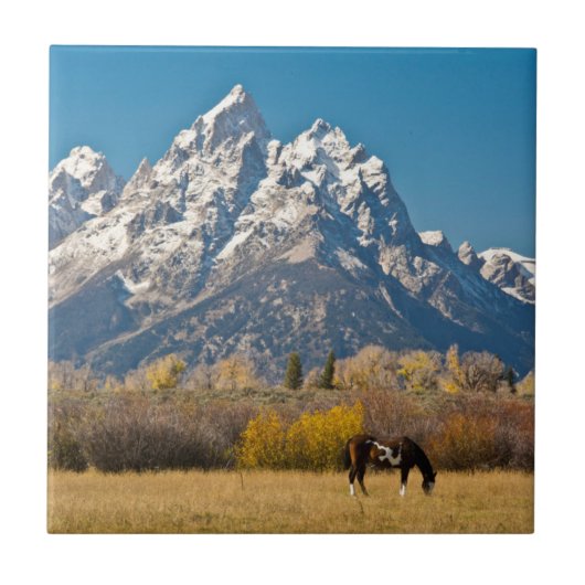 馬とグランドテトンムースヘッドランチ タイル (正面)