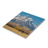 馬とグランドテトンムースヘッドランチ タイル (側面)