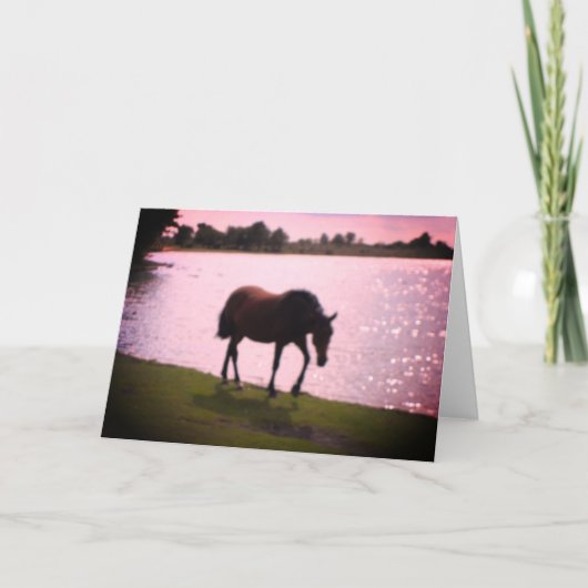 馬とサニーレイクカ空白のード カード (正面)