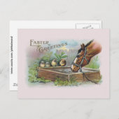 馬とシックスヴィンテージイースター シーズンポストカード (正面/裏面)