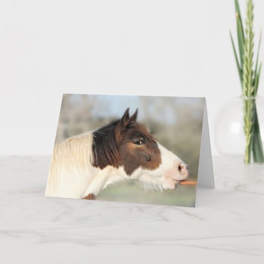 馬とニンジン5x7誕生日カード カード (正面)