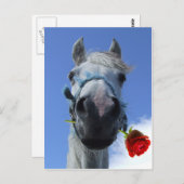 馬とバララブテーマ ポストカード (正面/裏面)