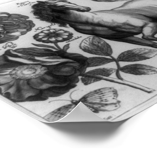 馬とバラ ポスター (角)