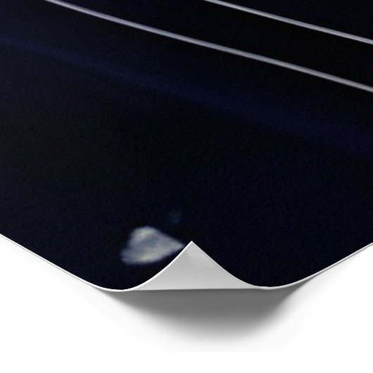 馬とバラ ポスター (角)