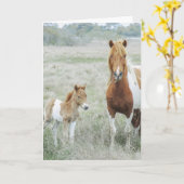 馬とフォアカントリー空白のノテカード カード (黄色い花)