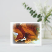 馬とポニーのポストカード ポストカード (スタンド正面)