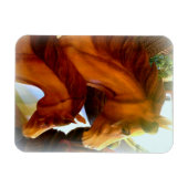 馬とポニーの写真マグネット マグネット (横)