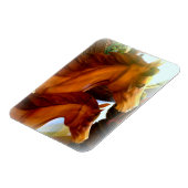 馬とポニーの写真マグネット マグネット (左側)