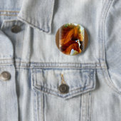 馬とポニーランニングのボタン 缶バッジ (インサイチュ)