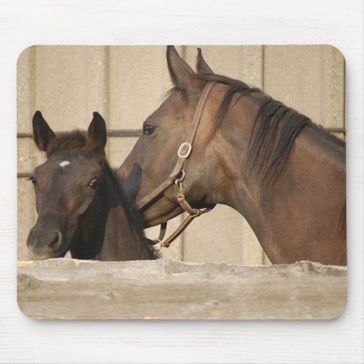 馬とポニー マウスパッド (正面)