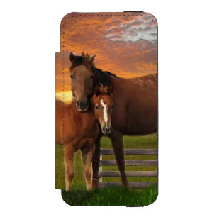 馬とポニー iPhone SE/5/5sウォレットケース