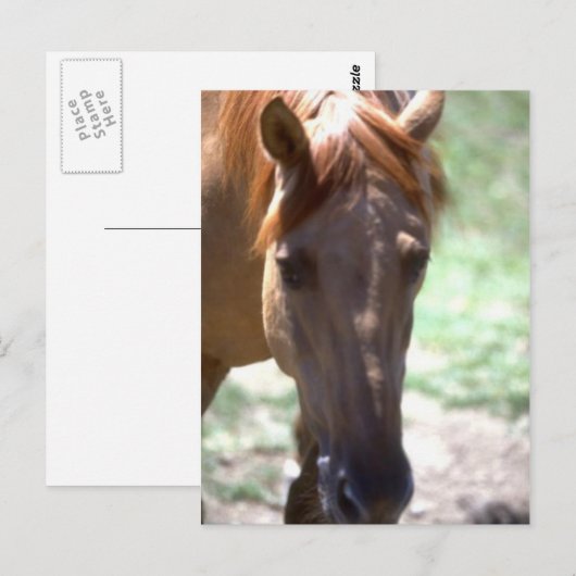 馬とマネ ポストカード (正面/裏面)