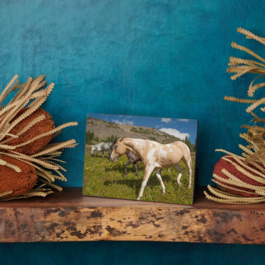 馬とミュール フォトプラーク (側面)