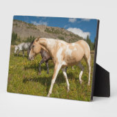 馬とミュール フォトプラーク (側面)