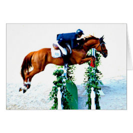 馬とライダーのジャンパーリングや輪