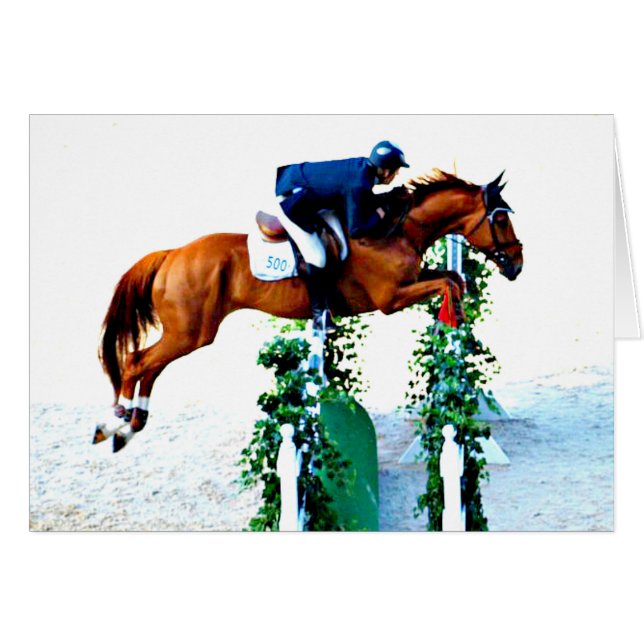 馬とライダーのジャンパーリングや輪 (正面横)