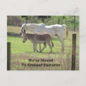 馬とロバの新しいアドレスのポストカード ポストカード (正面)