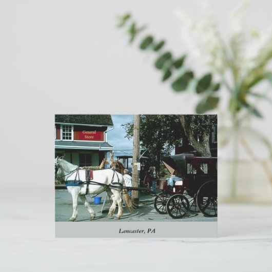 馬と乳母車 ポストカード (スタンド正面)