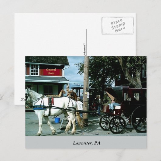 馬と乳母車 ポストカード (正面/裏面)