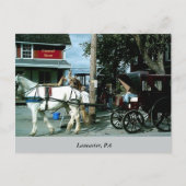 馬と乳母車 ポストカード (正面)