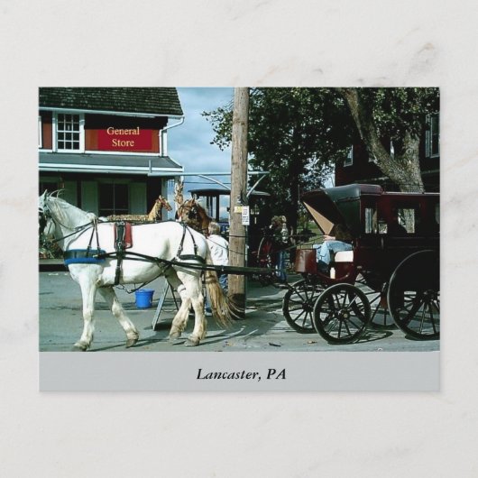 馬と乳母車 ポストカード (正面)