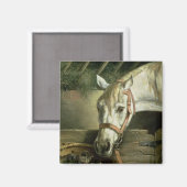 馬と子猫, 1890 マグネット (正面/裏面)