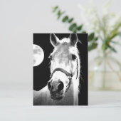 馬と月 ポストカード (スタンド正面)