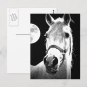 馬と月 ポストカード (正面/裏面)