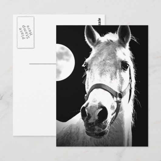 馬と月 ポストカード (正面/裏面)