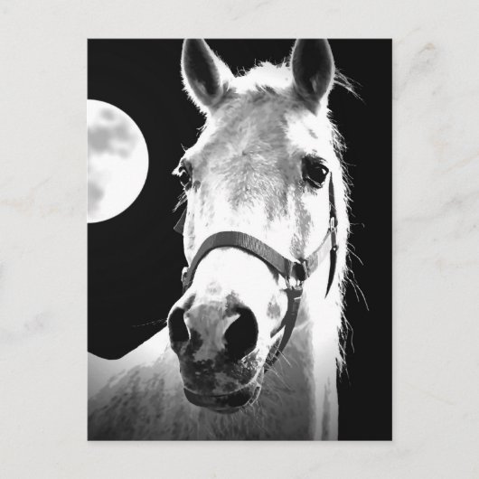 馬と月 ポストカード (正面)