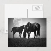 馬と月 ポストカード (正面/裏面)