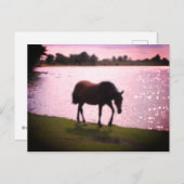 馬と湖 ポストカード (正面/裏面)