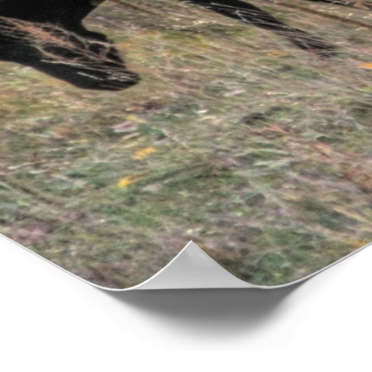 馬と熊が一緒に写真アートポスター ポスター (角)