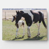 馬と牝馬の散歩 フォトプラーク (正面)