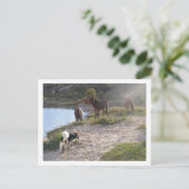 馬と犬 ポストカード (スタンド正面)