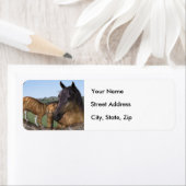 馬と猫、「ラブザイNeigar」住所 シール (インサイチュ)