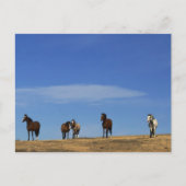 馬と空 ポストカード (正面)