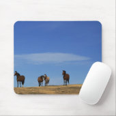 馬と空 マウスパッド (マウス)