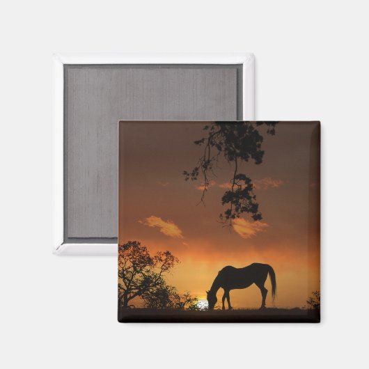 馬と美しい日の出 マグネット (正面/裏面)