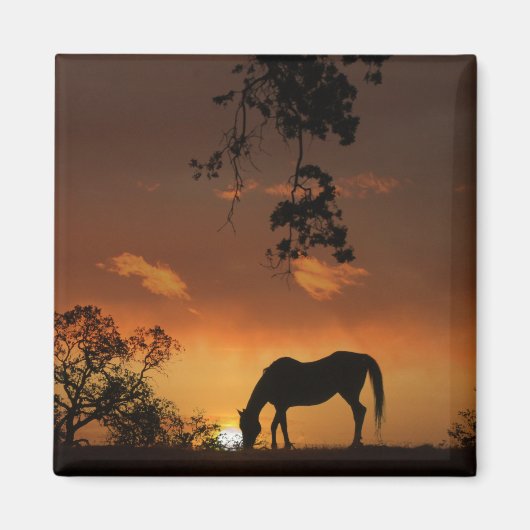 馬と美しい日の出 マグネット (正面)