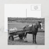 馬と荷車 ポストカード (正面/裏面)