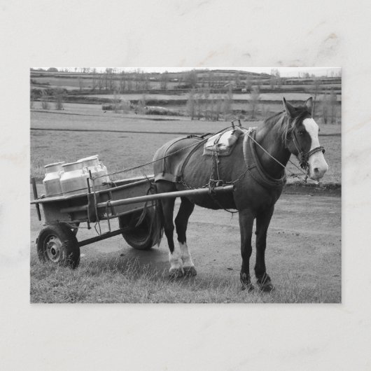 馬と荷車 ポストカード (正面)