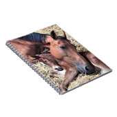 馬と足のスパイラルノート ノートブック (右側)