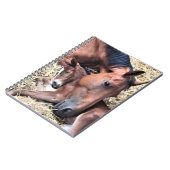 馬と足のスパイラルノート ノートブック (左側)