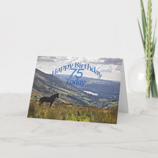 馬と風景75th誕生日カード カード (正面)