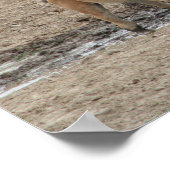 馬と馬を育てる ポスター (角)